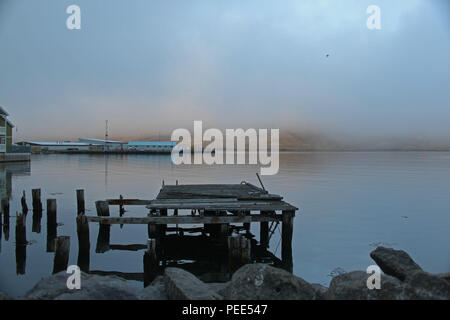 Misty Porto. Siglufjörður Affitto, Nord di fiordi, Islanda. Foto Stock