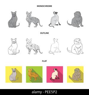 Angora turco, British longhair e altre specie. Razze di gatti set di icone di raccolta in flat,contorno,monocromatico vettore stile simbolo illustrazione stock Illustrazione Vettoriale