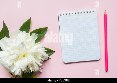 Blocco note per il testo bianco fiori peonia cherry bacche pastello su sfondo rosa Foto Stock
