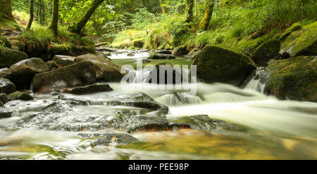 Golitha Falls è una serie di piccole cascate nel cuore di Bodmin Moor vicino a Liskeard Cornwall coperto da alberi. Lunga esposizione. Foto scattata a luglio Foto Stock