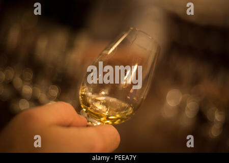 Scottish single malt whisky la sessione di degustazione. Foto Stock