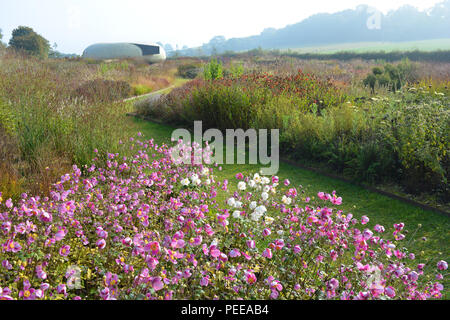 Vista su campo Oudolf, progettato dal rinomato architetto paesaggista Piet Oudolf, al Padiglione Radić, progettato da Smiljan Radić, Hauser & Wirth, Somerset Foto Stock