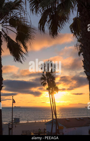 Alberi di palma e da Molo sulla Spiaggia di Manhattan al tramonto in California, Los Angeles, Stati Uniti d'America. Foto Stock