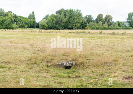 Piccolo ponte di pietra sul canale di irrigazione in acqua Harnham prati Salisbury Regno Unito Foto Stock