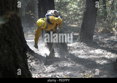 Un membro della Task Force alfa, California Army National Guard, mops fino un'area vicino alle montagne di Wildcat Butte, Humboldt County, California, durante il Humboldt Lightning Fore agosto 9. In poco più di dieci giorni, il Humboldt fulmini fuoco distrutto vicino a 4.700 acri. (U.S. Esercito nazionale Guard foto/Staff Sgt. Eddie Siguenza.) Foto Stock