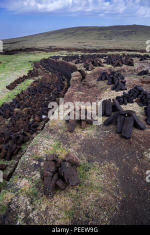 Estrazione di torba in bog / brughiera mostra pile di raccolte torba essiccazione per essere usato come combustibile tradizionale, isole Shetland, Scotland, Regno Unito Foto Stock