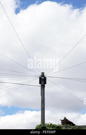 Fili di overhead da un palo del telegrafo Foto Stock