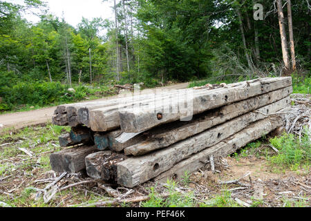 Una pila di blocchi di legno di legno nella foresta di Adirondack utilizzato per costruire ponti di registrazione d'inverno. Foto Stock