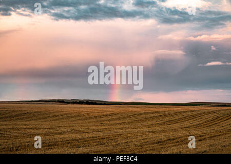Ci sono così tante fantastiche vedute sulla grande costa dello Yorkshire. Questo è Flamborough, casa dei sorprendenti scogliere, faro e fantastica fauna selvatica Foto Stock