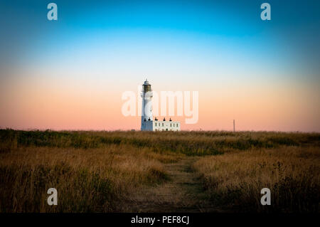 Ci sono così tante fantastiche vedute sulla grande costa dello Yorkshire. Questo è Flamborough, casa dei sorprendenti scogliere, faro e fantastica fauna selvatica Foto Stock