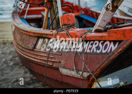 Ci sono così tante fantastiche vedute sulla grande costa dello Yorkshire. Questo è Flamborough, casa dei sorprendenti scogliere, faro e fantastica fauna selvatica Foto Stock