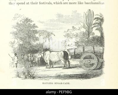 Immagine presa da pagina 218 di 'i capitelli di Spagnolo America ... Illustrato' Foto Stock