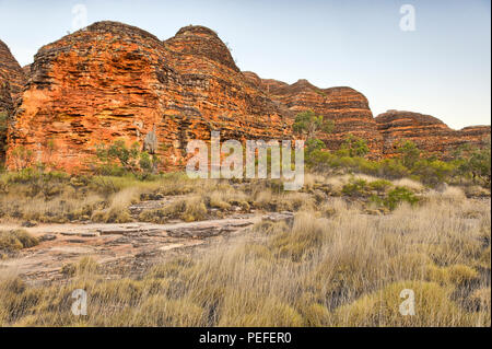 Alveari colorati in Bungle Bungles National Park, Territori del Nord, Australia Foto Stock