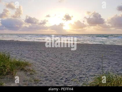 Paesaggio di dune, la spiaggia e l'oceano all alba della Florida, USA Foto Stock