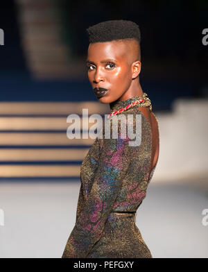 Africa Fashion Show 2018. Modello immagini prese dalla fossa della pressa dal fotografo Steve Mack per AfricanHair.com Foto Stock