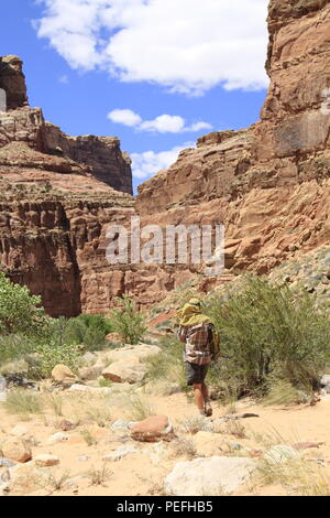 Dark Canyon deserto, porta le orecchie del monumento nazionale, Utah Foto Stock