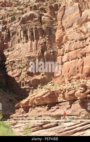 Dark Canyon deserto, porta le orecchie del monumento nazionale, Utah Foto Stock