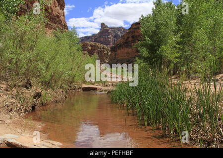 Dark Canyon deserto, porta le orecchie del monumento nazionale, Utah Foto Stock