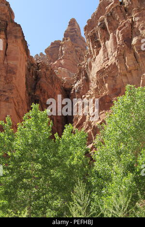 Dark Canyon deserto, porta le orecchie del monumento nazionale, Utah Foto Stock