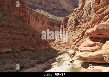 Dark Canyon deserto, porta le orecchie del monumento nazionale, Utah Foto Stock