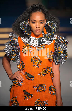 Africa Fashion Show 2018. Modello immagini prese dalla fossa della pressa dal fotografo Steve Mack per AfricanHair.com Foto Stock