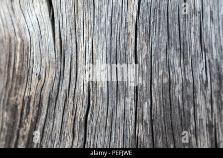 Primo piano di tessitura naturale del legno Foto Stock