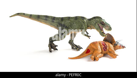 Tirannosauro con un corpo triceratops nelle vicinanze su sfondo bianco Foto Stock
