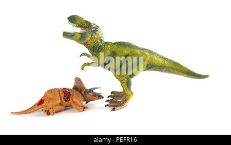 Tirannosauro con un corpo triceratops nelle vicinanze su sfondo bianco Foto Stock