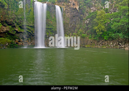 Whangarei Falls, Isola del nord, Nuova Zelanda Foto Stock