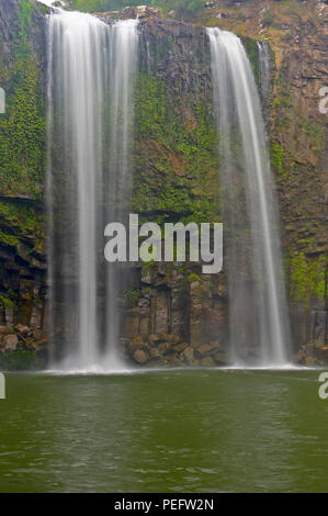 Whangarei Falls, Isola del nord, Nuova Zelanda Foto Stock