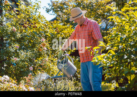 Attivo uomo senior di impianti di irrigazione in giardino in una tranquilla giornata Foto Stock