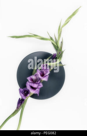 Due Gladioli, vista aerea Foto Stock