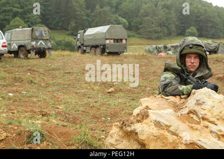 Un soldato ceca di luce 74Battaglione motorizzato, 7° Brigata meccanizzata, fornisce la sicurezza mentre i compagni soldati ceca trasferire i loro tactical operations center durante l'esercizio Allied Spirit II presso l'U.S. Dell'esercito multinazionale comune disponibilità centro in Hohenfels, Germania, Agosto 16, 2015. Allied Spirit II è una multinazionale decisa azione ambiente formazione esercizio che coinvolge oltre 3.500 soldati provenienti da entrambi gli Stati Uniti, alleati e nazioni partner focalizzata sulla creazione di partenariati e di interoperabilità tra tutte le nazioni partecipanti e sottolineando la missione il comando, intelligence, supporto Foto Stock