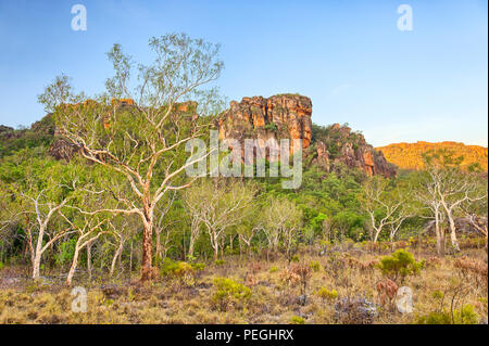Deserto a Nourlangie Rock nel Parco Nazionale Kakadu, Territori del Nord, Australia Foto Stock