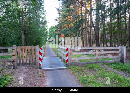 Accesso di un parco naturale con griglia di capi di bestiame che non richiedono una recinzione. accesso per ciclisti ed escursionisti Foto Stock