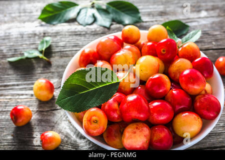 Colorate le ciliegie fresche ciliegio dolce frutta raccolti di fresco in estate Foto Stock