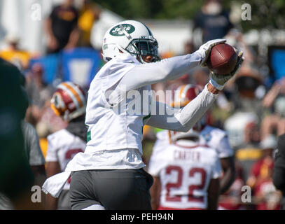 Richmond, Stati Uniti d'America. 14 Ago, 2018. New York getti wide receiver Terrelle Pryor (1) Catture un pass come egli partecipa a una formazione comune pratica di camp con Washington Redskins a Washington Redskins Bon Secours Training Facility a Richmond, Virginia Martedì, 14 agosto 2018. Credito: Ron Sachs/CNP (restrizione: NO New York o New Jersey o giornali quotidiani nel raggio di 75 miglia da New York City) | utilizzo del credito in tutto il mondo: dpa/Alamy Live News Foto Stock