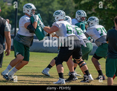 Richmond, Stati Uniti d'America. 14 Ago, 2018. New York getti linemen offensivo di partecipare a un trapano durante la formazione congiunta camp pratica con Washington Redskins a Washington Redskins Bon Secours Training Facility a Richmond, Virginia Martedì, 14 agosto 2018. Credito: Ron Sachs/CNP (restrizione: NO New York o New Jersey o giornali quotidiani nel raggio di 75 miglia da New York City) | utilizzo del credito in tutto il mondo: dpa/Alamy Live News Foto Stock