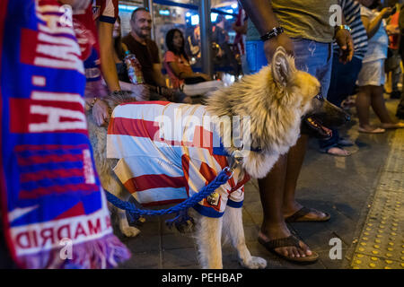 Madrid, Spagna. Il 16 agosto, 2018. Un cane con Atletico Madrid shirt durante la celebrazione in Piazza Neptuno dopo Atletico Madrid vince Coppa UEFA Intertoto contro il Real Madrid, Madrid, Spagna. Credito: Marcos del Mazo/Alamy Live News Foto Stock