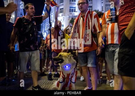 Madrid, Spagna. Il 16 agosto, 2018. Un cane con Atletico Madrid shirt durante la celebrazione in Piazza Neptuno dopo Atletico Madrid vince Coppa UEFA Intertoto contro il Real Madrid, Madrid, Spagna. Credito: Marcos del Mazo/Alamy Live News Foto Stock