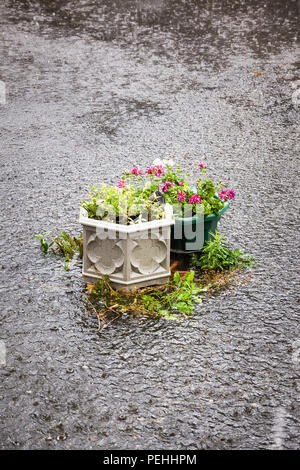 Flash allagamento del cortile privato con giardino in luglio NEL REGNO UNITO Foto Stock