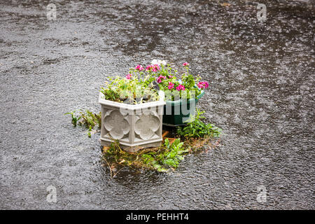 Flash allagamento del cortile privato con giardino in luglio NEL REGNO UNITO Foto Stock