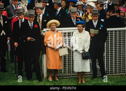 L'Epsom Derby corsa di cavalli 1986 Walter Swinburn in verde nella parte anteriore rides Shahrastani alla vittoria nel derby in 1986 Foto Stock