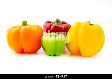 Miscelati peperoni (Capsicum annuum) su uno sfondo bianco Foto Stock