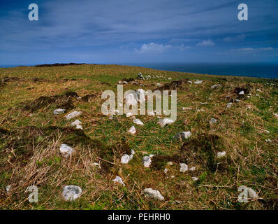 Visualizzare ENE di resti di epoca medievale (C14th) longhouse (running front L a posteriori R) & cantieri (L) alla vedova Tenement, Lundy Island, Devon, Regno Unito. Foto Stock