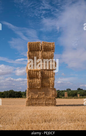 Balle di paglia in un campo al momento del raccolto. Suffolk, Regno Unito. Foto Stock