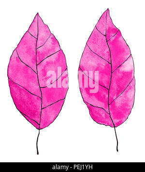 Un acquerello illustrazione di 2 (due) foglie in colore rosa isolato su uno sfondo bianco con contorno nero Foto Stock