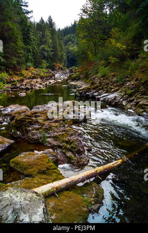 Forcella ad est del fiume di Lewis nello stato di Washington Foto Stock