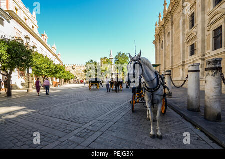 Siviglia, Spagna - Luglio 14, 2018: carrozze trainate da cavalli a noleggio su Plaza del Triunfo, Siviglia, Andalusia, Spagna Foto Stock