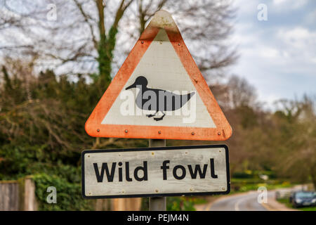 Segno e simbolo: uccelli selvatici - visto in Coltishall, le Broads, Norfolk, Inghilterra, Regno Unito Foto Stock